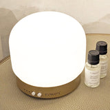 Jayla White & Gold Electronic Aroma Mist Diffuser Lamp