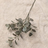 Light Green Dusted Faux Eucalyptus Single Stem