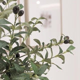 Medium Faux Potted Olive Tree